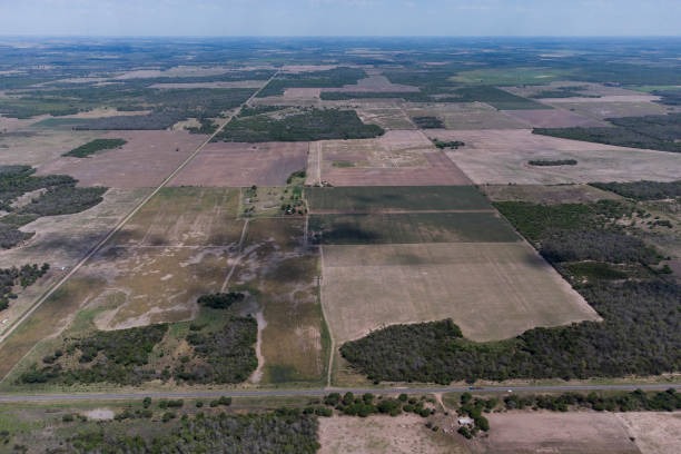 Imagen de una zona deforestada representando la urgencia de las políticas ambientales