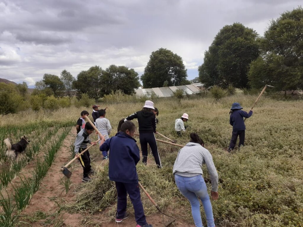 Grupo de personas practicando la aprendizaje-servicio solidario en Argentina